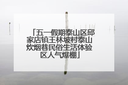 五一假期泰山区邱家店镇王林坡村泰山炊烟巷民俗生活体验区人气爆棚
