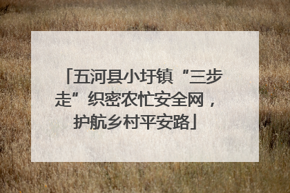 五河县小圩镇“三步走”织密农忙安全网，护航乡村平安路