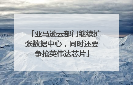 亚马逊云部门继续扩张数据中心，同时还要争抢英伟达芯片