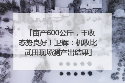 亩产600公斤，丰收态势良好！卫辉：机收比武田现场测产出结果