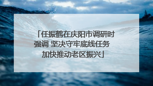 任振鹤在庆阳市调研时强调 坚决守牢底线任务 加快推动老区振兴