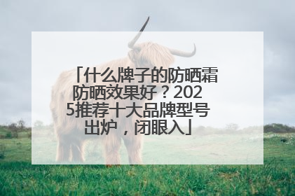 什么牌子的防晒霜防晒效果好？2025推荐十大品牌型号出炉，闭眼入
