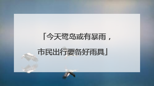 今天鹭岛或有暴雨，市民出行要备好雨具