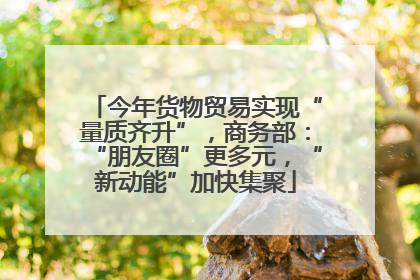 今年货物贸易实现“量质齐升”，商务部：“朋友圈”更多元，“新动能”加快集聚