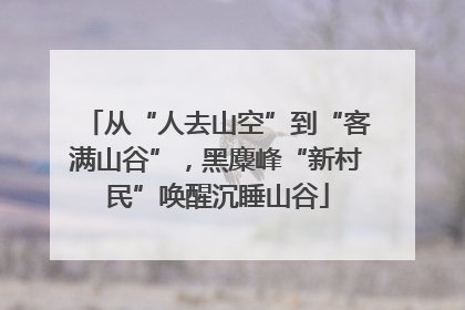 从“人去山空”到“客满山谷”，黑麋峰“新村民”唤醒沉睡山谷