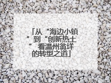 从“海边小镇”到“创新热土” 看温州翁垟的转型之道