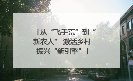 从“飞手荒”到“新农人” 激活乡村振兴“新引擎”