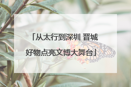 从太行到深圳 晋城好物点亮文博大舞台