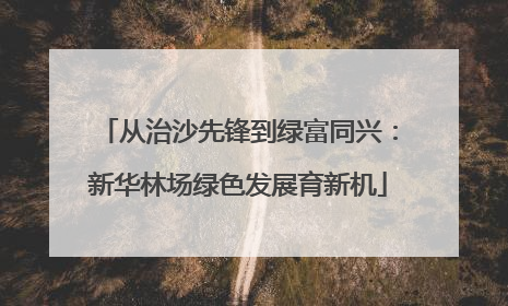 从治沙先锋到绿富同兴：新华林场绿色发展育新机