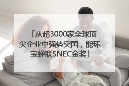 从超3000家全球顶尖企业中强势突围，能环宝蝉联SNEC金奖
