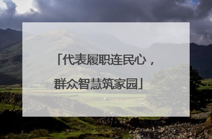 代表履职连民心，群众智慧筑家园