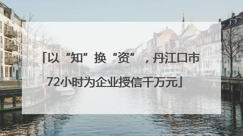 以“知”换“资”，丹江口市72小时为企业授信千万元