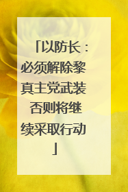 以防长：必须解除黎真主党武装 否则将继续采取行动