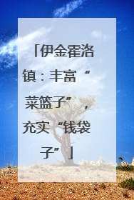伊金霍洛镇：丰富“菜篮子”，充实“钱袋子”