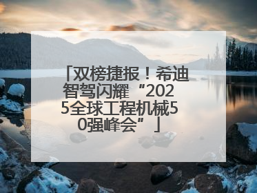 双榜捷报！希迪智驾闪耀“2025全球工程机械50强峰会”