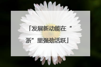 发展新动能在“浙”里强劲活跃