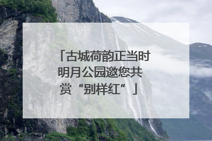 古城荷韵正当时 明月公园邀您共赏“别样红”