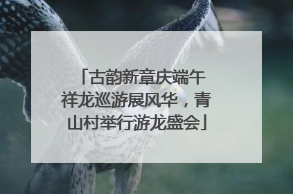 古韵新章庆端午 祥龙巡游展风华，青山村举行游龙盛会