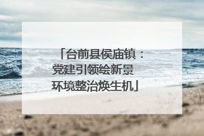 台前县侯庙镇：党建引领绘新景 环境整治焕生机