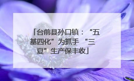 台前县孙口镇：“五基四化”为抓手 “三夏”生产保丰收