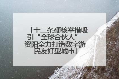 十二条硬核举措吸引“全球合伙人” 资阳全力打造数字游民友好型城市