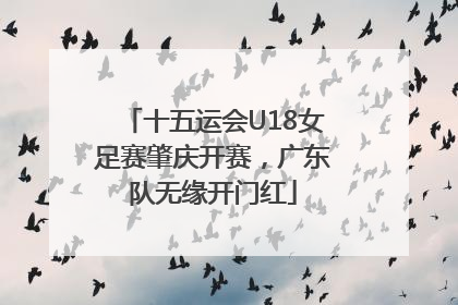 十五运会U18女足赛肇庆开赛，广东队无缘开门红