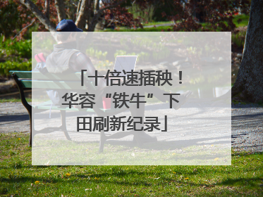 十倍速插秧！华容“铁牛”下田刷新纪录