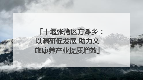十堰张湾区方滩乡：以调研促发展 助力文旅康养产业提质增效