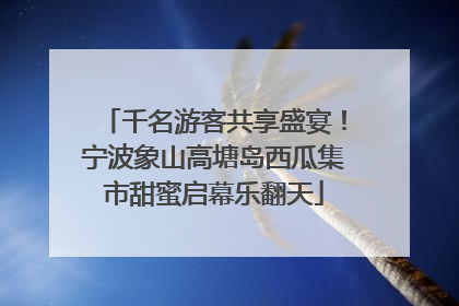 千名游客共享盛宴！宁波象山高塘岛西瓜集市甜蜜启幕乐翻天