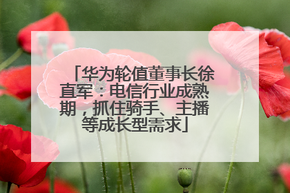 华为轮值董事长徐直军：电信行业成熟期，抓住骑手、主播等成长型需求