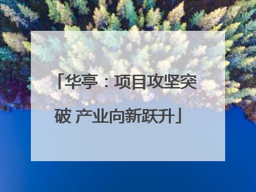 华亭：项目攻坚突破 产业向新跃升