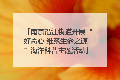 南京沿江街道开展“好奇心 维系生命之源”海洋科普主题活动