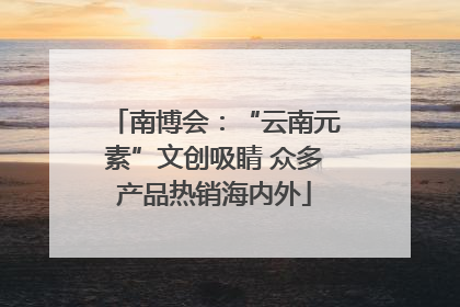 南博会：“云南元素”文创吸睛 众多产品热销海内外