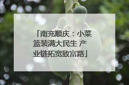 南充顺庆：小菜篮装满大民生 产业链拓宽致富路