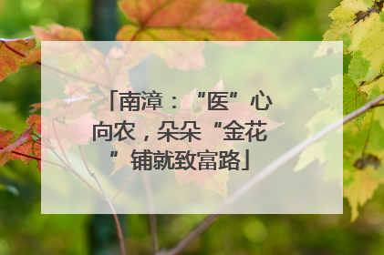 南漳：“医”心向农，朵朵“金花”铺就致富路