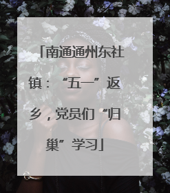 南通通州东社镇：“五一”返乡，党员们“归巢”学习