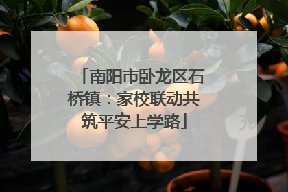南阳市卧龙区石桥镇：家校联动共筑平安上学路