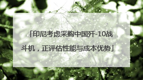 印尼考虑采购中国歼-10战斗机，正评估性能与成本优势