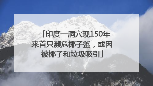 印度一洞穴现150年来首只濒危椰子蟹，或因被椰子和垃圾吸引