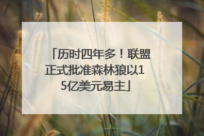 历时四年多！联盟正式批准森林狼以15亿美元易主