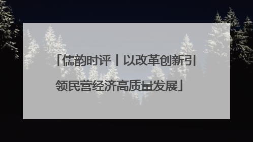 儒韵时评丨以改革创新引领民营经济高质量发展