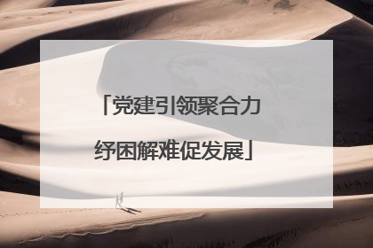 党建引领聚合力 纾困解难促发展