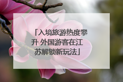 入境旅游热度攀升 外国游客在江苏解锁新玩法