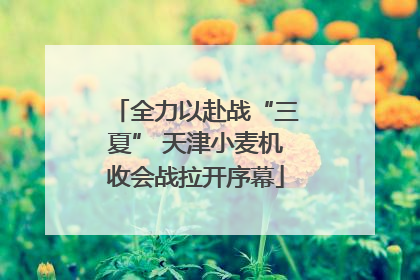 全力以赴战“三夏” 天津小麦机收会战拉开序幕
