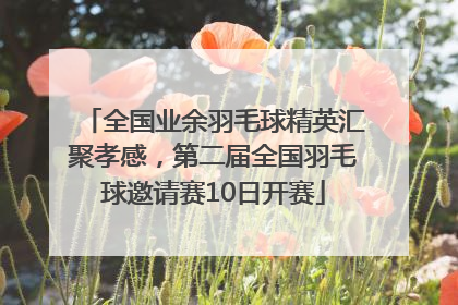 全国业余羽毛球精英汇聚孝感，第二届全国羽毛球邀请赛10日开赛