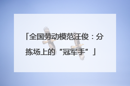 全国劳动模范汪俊：分拣场上的“冠军手”