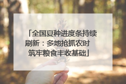 全国夏种进度条持续刷新：多地抢抓农时 筑牢粮食丰收基础
