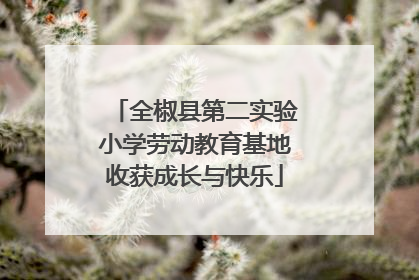 全椒县第二实验小学劳动教育基地收获成长与快乐