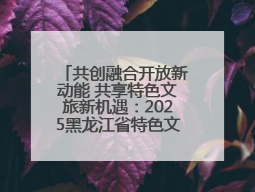 共创融合开放新动能 共享特色文旅新机遇：2025黑龙江省特色文化旅游推介会在抚远举行