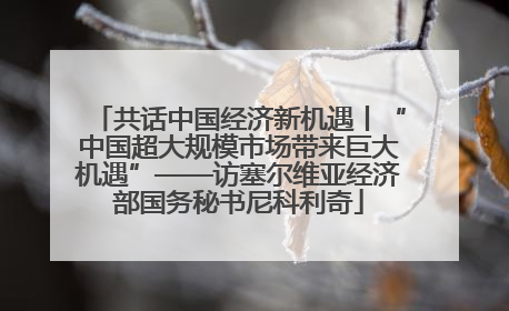 共话中国经济新机遇丨“中国超大规模市场带来巨大机遇”——访塞尔维亚经济部国务秘书尼科利奇